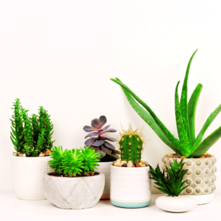 Can You Really Overcome Addiction?