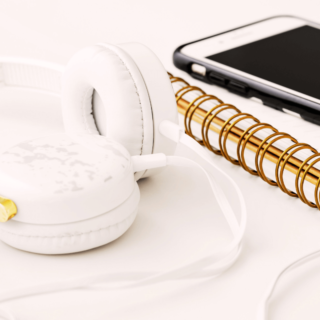 6 Beautiful Houseplants That Are Safe For Cats