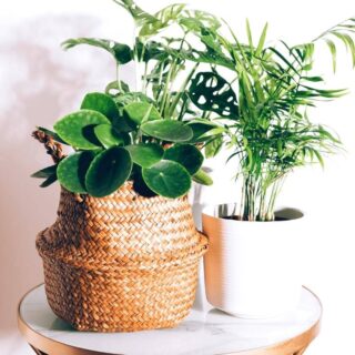 How To Become A Better Listener: 9 Top Tips