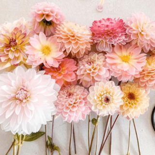 Monthly Reflection & June 2022 Goals