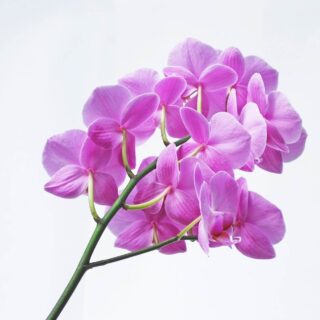 7 Simple Tips To Improve Your Mental Health