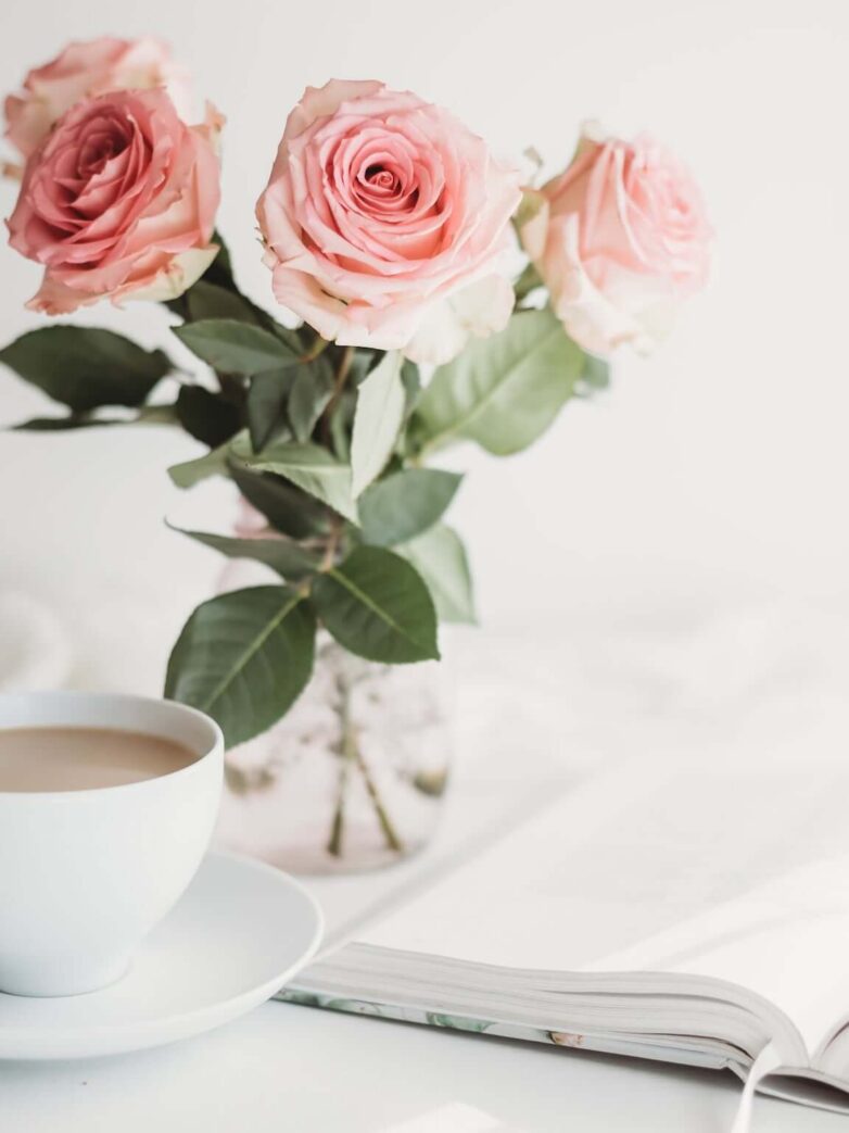 Second Trimester: Week 14 Pregnancy Recap