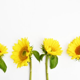 Second Trimester: Week 21 Pregnancy Recap