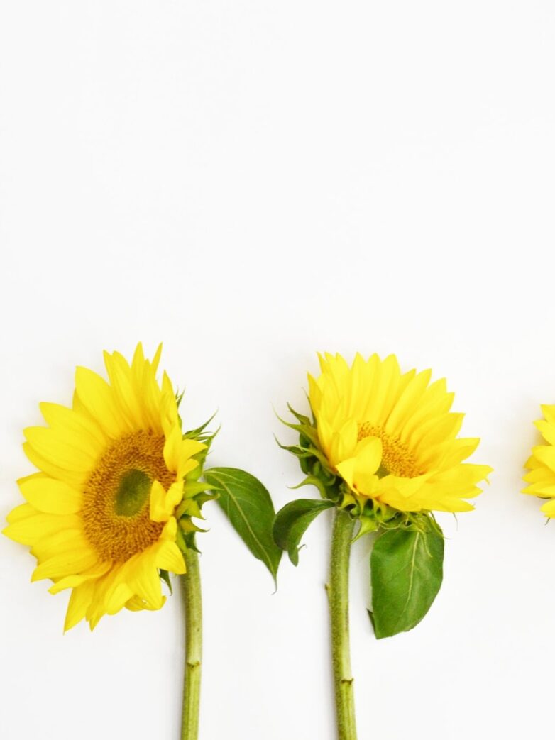 Second Trimester: Week 22 Pregnancy Recap