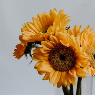 Second Trimester: Week 25 Pregnancy Recap