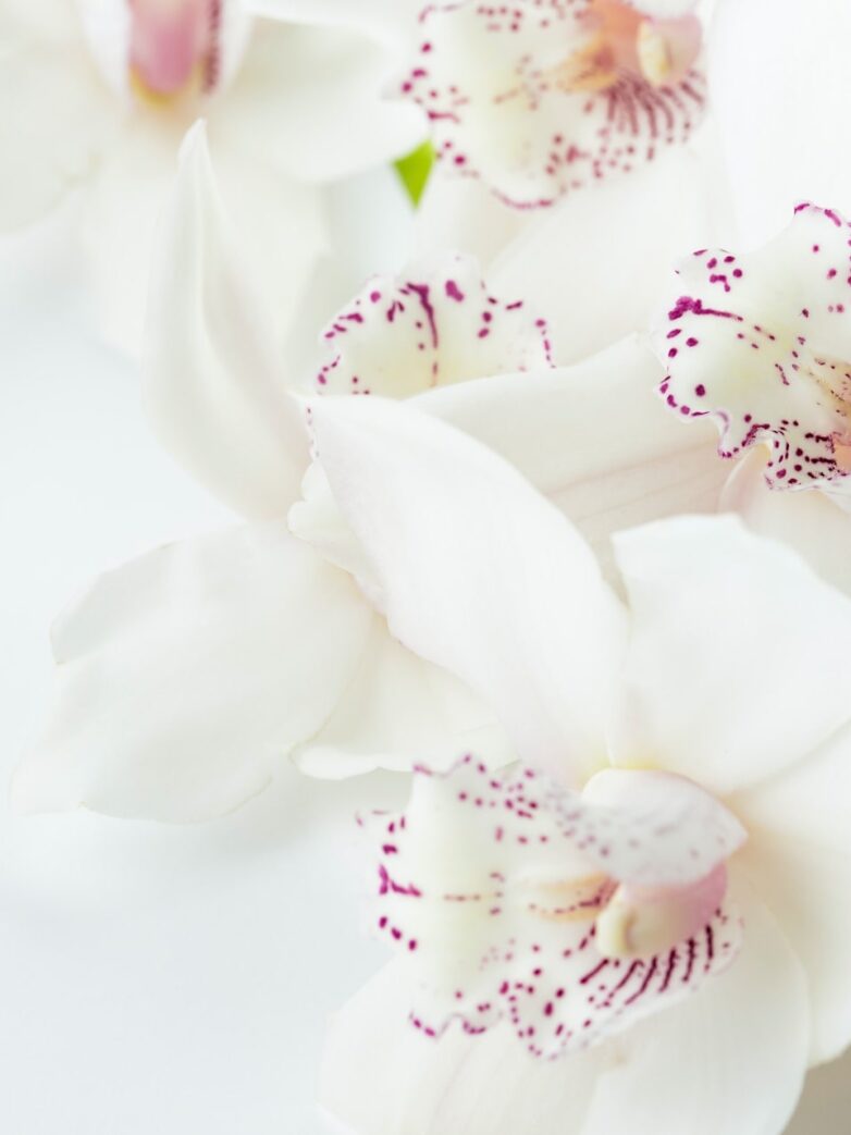 Second Trimester: Week 26 Pregnancy Recap