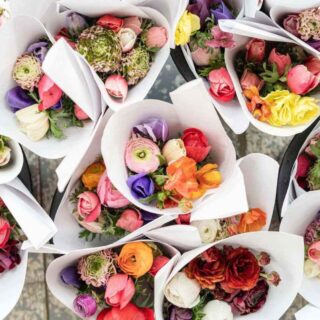 Second Trimester: Week 17 Pregnancy Recap