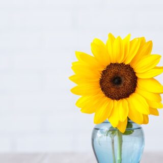 Second Trimester: Week 20 Pregnancy Recap