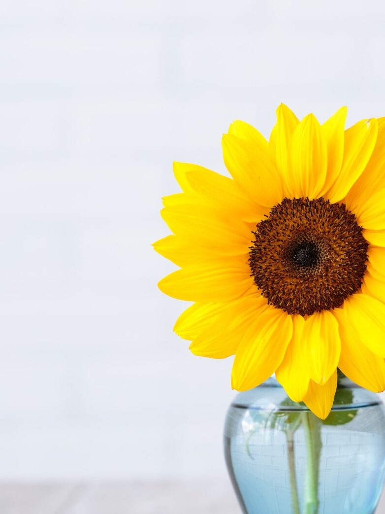 Second Trimester: Week 19 Pregnancy Recap