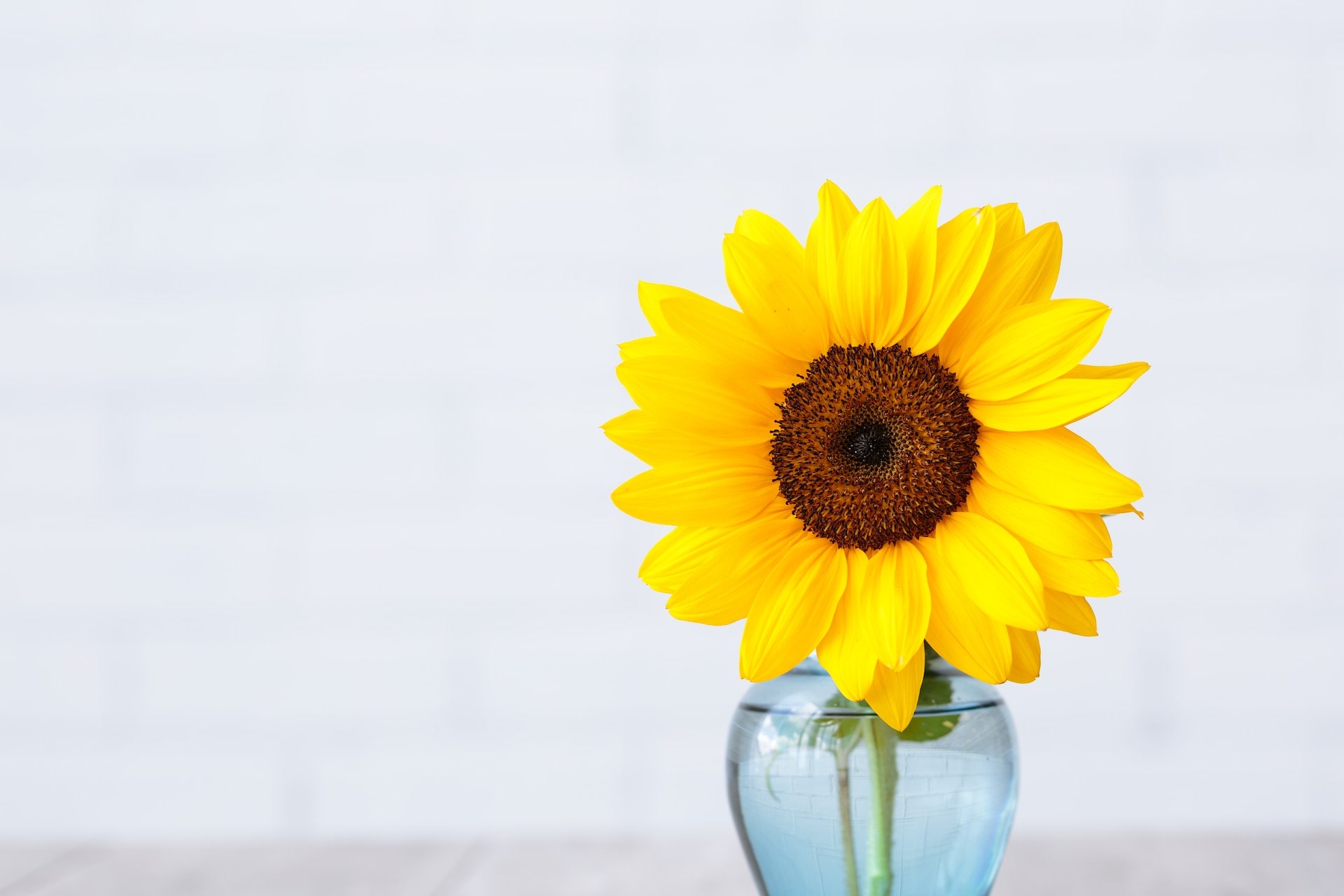 Second Trimester: Week 19 Pregnancy Recap