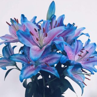 Second Trimester: Week 20 Pregnancy Recap