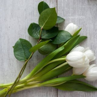 Second Trimester: Week 24 Pregnancy Recap