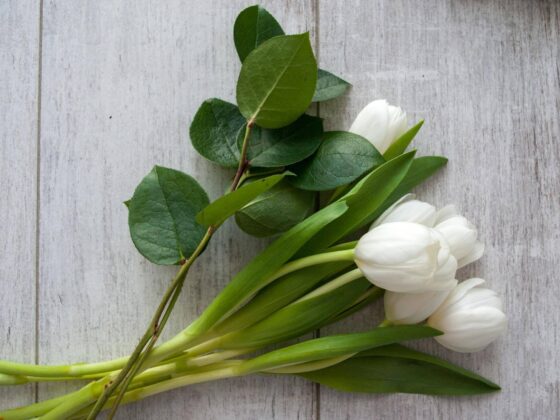 Second Trimester: Week 23 Pregnancy Recap