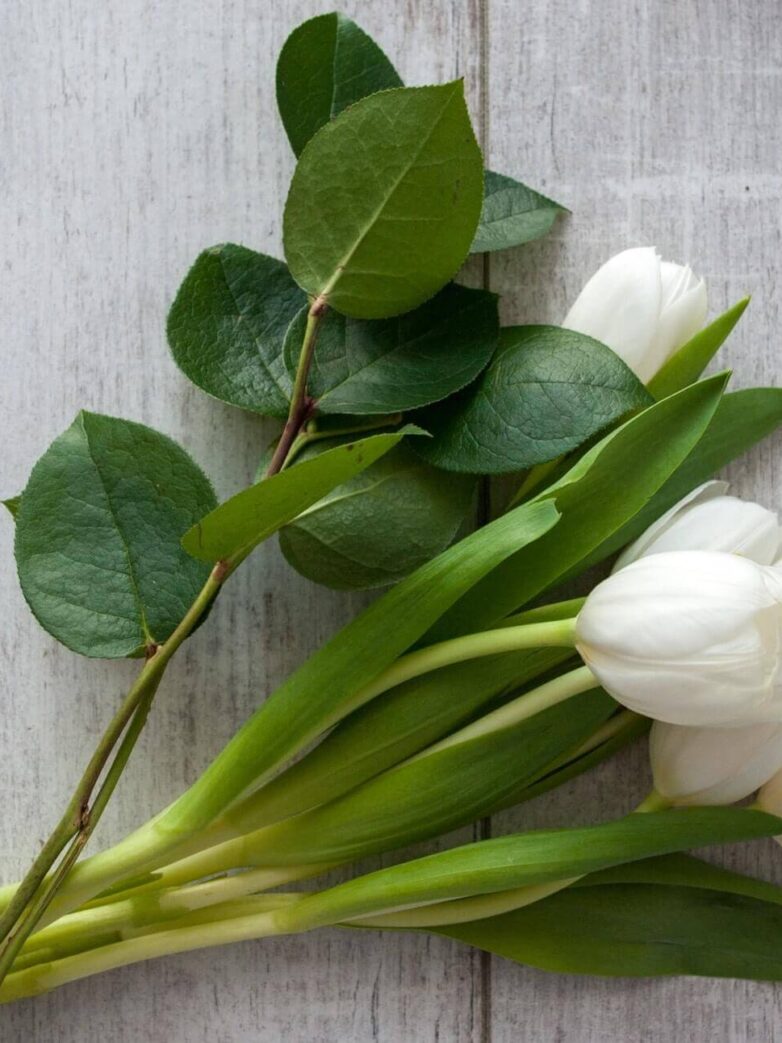 Second Trimester: Week 23 Pregnancy Recap