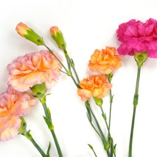 Third Trimester: Week 28 Pregnancy Recap