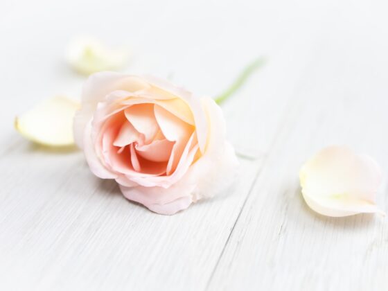 Third Trimester: Week 28 Pregnancy Recap