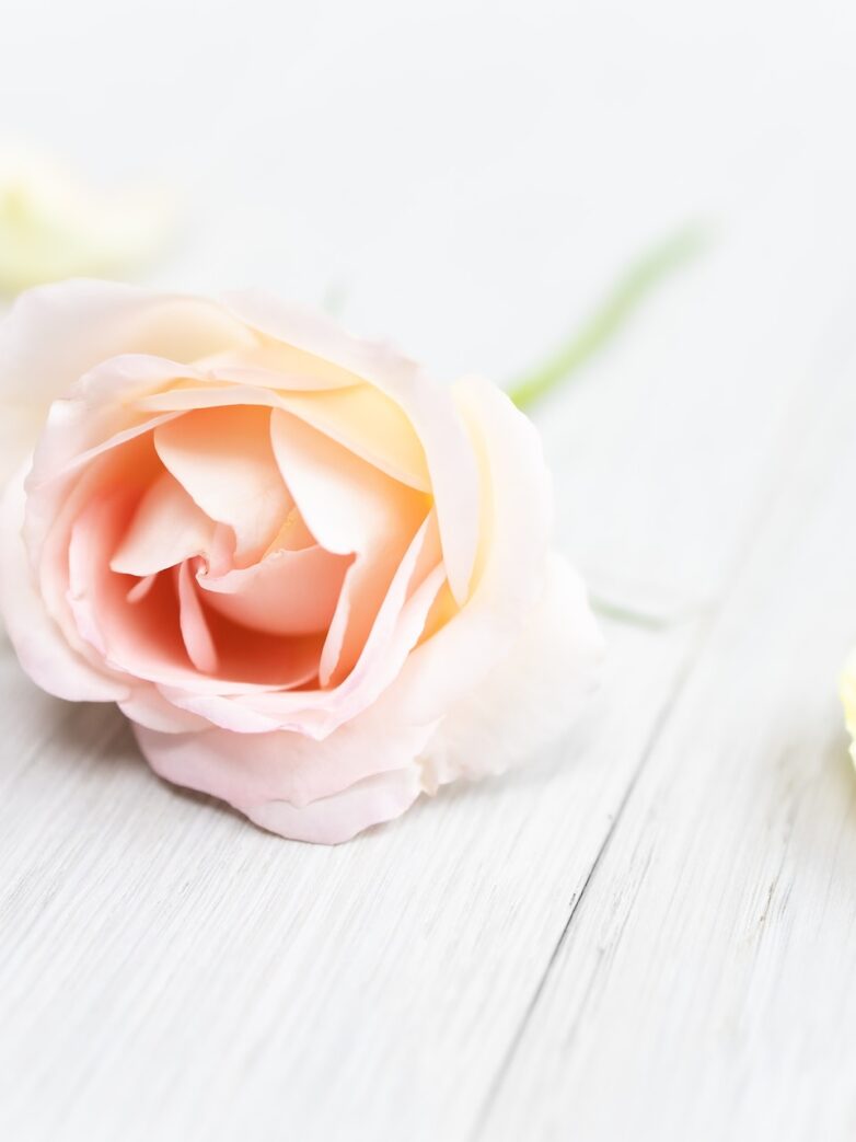 Third Trimester: Week 28 Pregnancy Recap