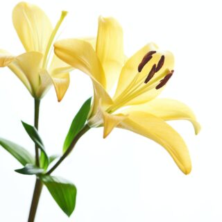 Third Trimester: Week 28 Pregnancy Recap