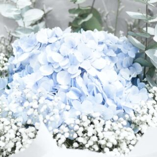 Third Trimester: Week 31 Pregnancy Recap