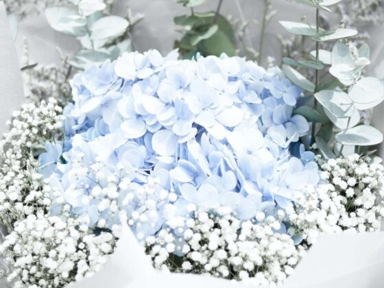 Third Trimester: Week 30 Pregnancy Recap