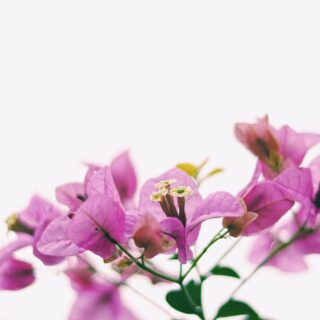 Third Trimester: Week 33 Pregnancy Recap