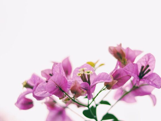 Third Trimester: Week 34 Pregnancy Recap