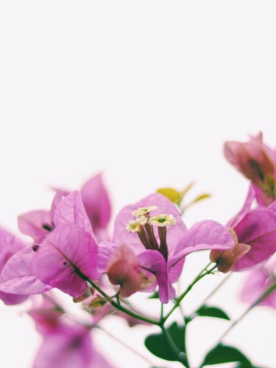 Third Trimester: Week 34 Pregnancy Recap