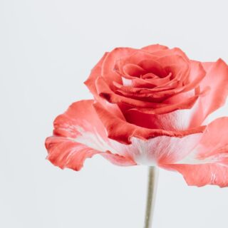 Third Trimester: Week 34 Pregnancy Recap