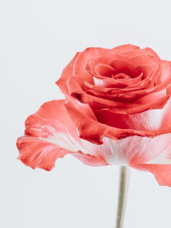 Third Trimester: Week 35 Pregnancy Recap