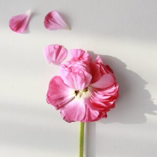 Third Trimester: Week 32 Pregnancy Recap