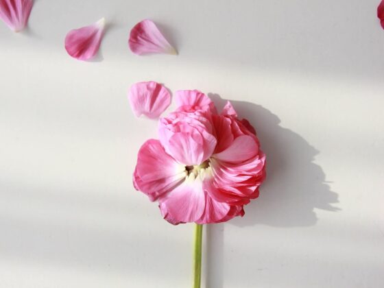 Third Trimester: Week 31 Pregnancy Recap