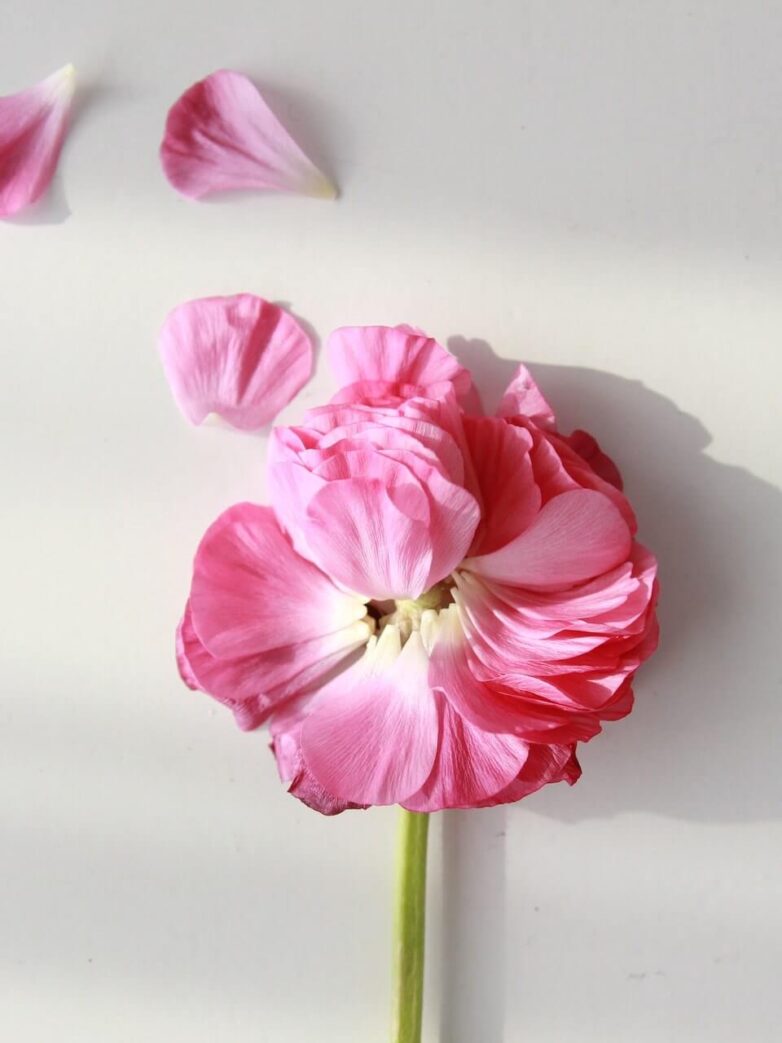 Third Trimester: Week 31 Pregnancy Recap