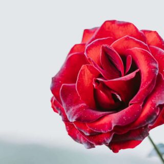 Third Trimester: Week 33 Pregnancy Recap