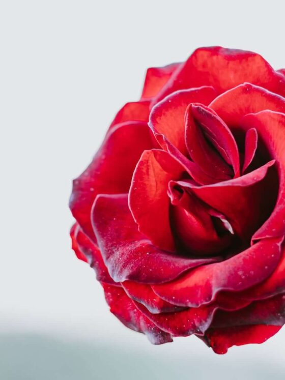 Third Trimester: Week 32 Pregnancy Recap