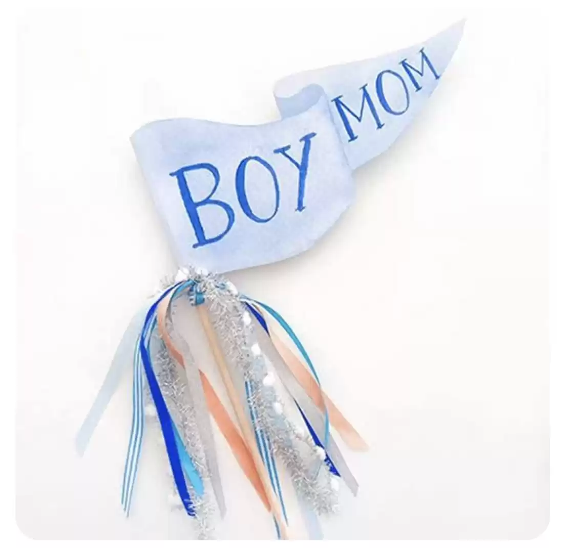 "Boy Mom" Party Pennant