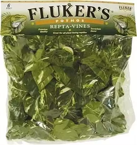Fluker's Repta Vines-Pothos for Reptiles and Amphibians, Black