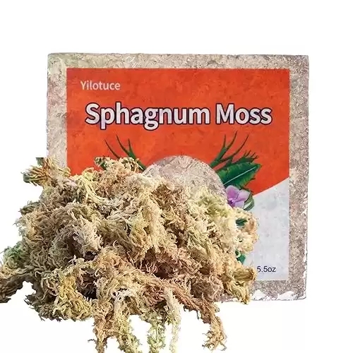 Sphagnum Moss for Plants, Premium Compressed Sphagnum Moss 5.5 oz
