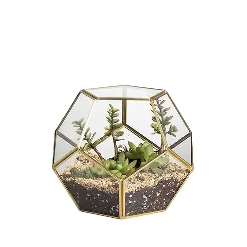 Small Gold Geometric Terrarium Planter - 17.5x17.5x15 cm - Ball Shape Glass Terrarium for Plants