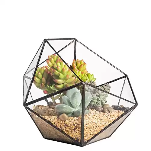 Opened Geometric Glass Terrarium